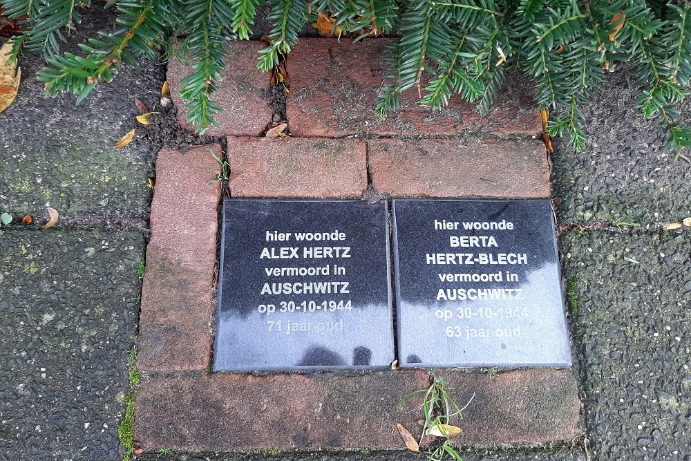 Memorial Stones Celsiusstraat 22 #1