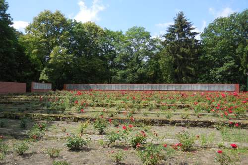 Soviet War Cemetery Gryfino #3