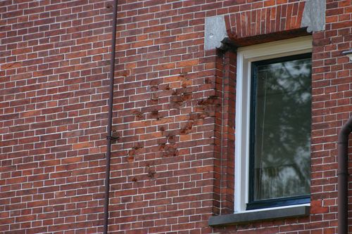 Bullet Impacts Villa Heymans #3