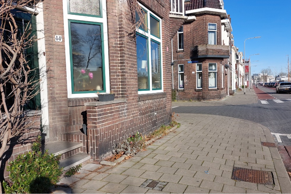 Stolpersteine Kattensingel 44b #2