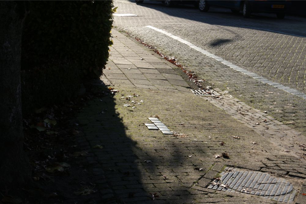 Stumbling Stones Hippelpad (Now Rootven / Prinses Margrietstraat) #2