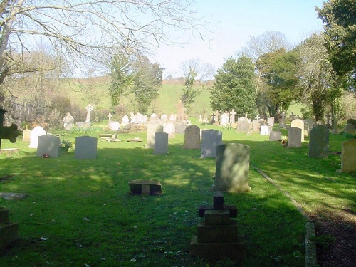 Oorlogsgraven van het Gemenebest St Peter New Churchyard #1