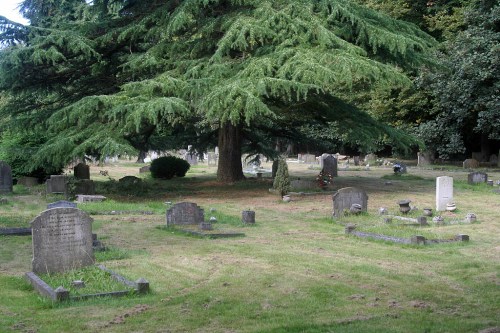 Oorlogsgraven van het Gemenebest St. John Churchyard #1