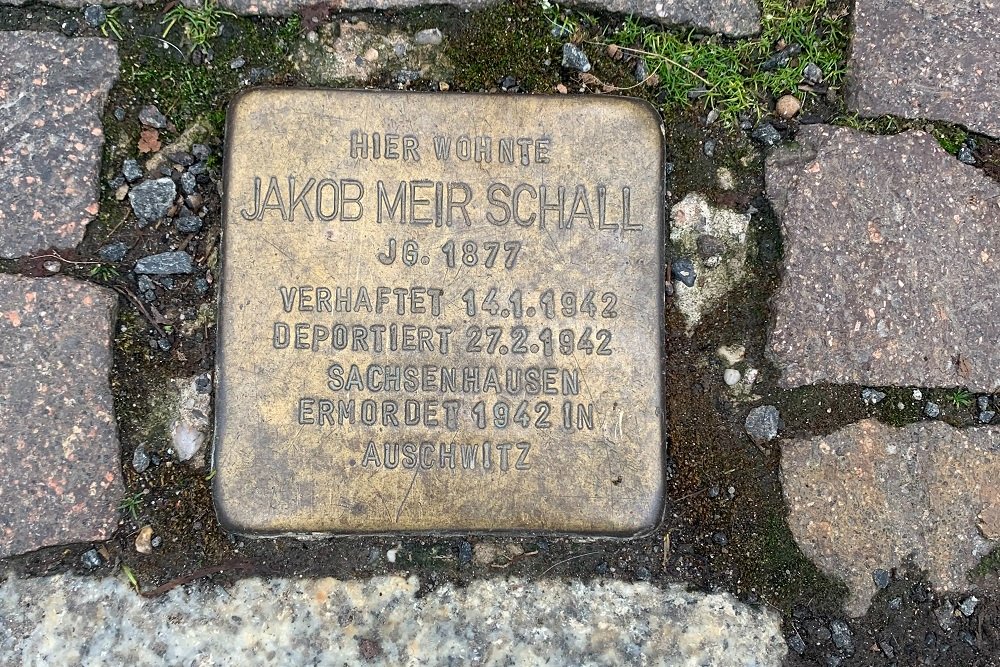 Stumbling Stone August-Bebel-Straße 79 #1