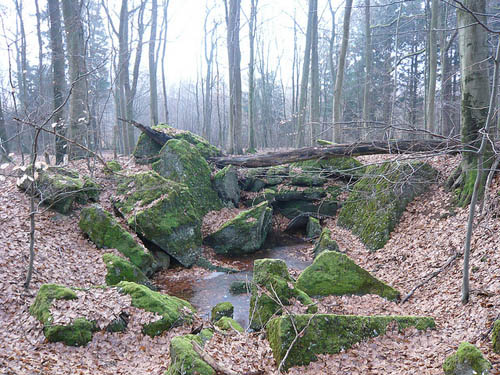 Westwall - Restant Bunker Oberleuken #2