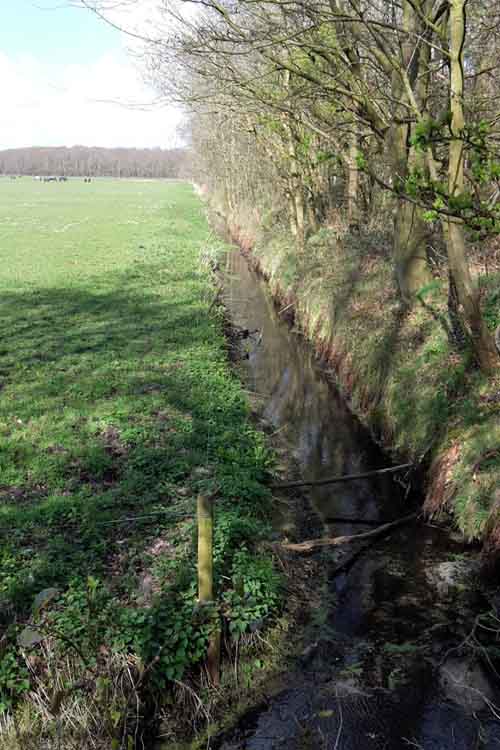Slit trenches and Anti Tank Ditch Heiloo Woods #5