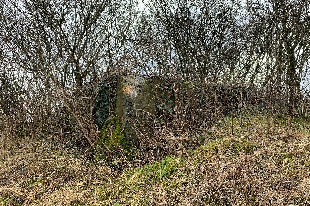 Bunker A - Position Avance Dolhain (Limbourg) #1