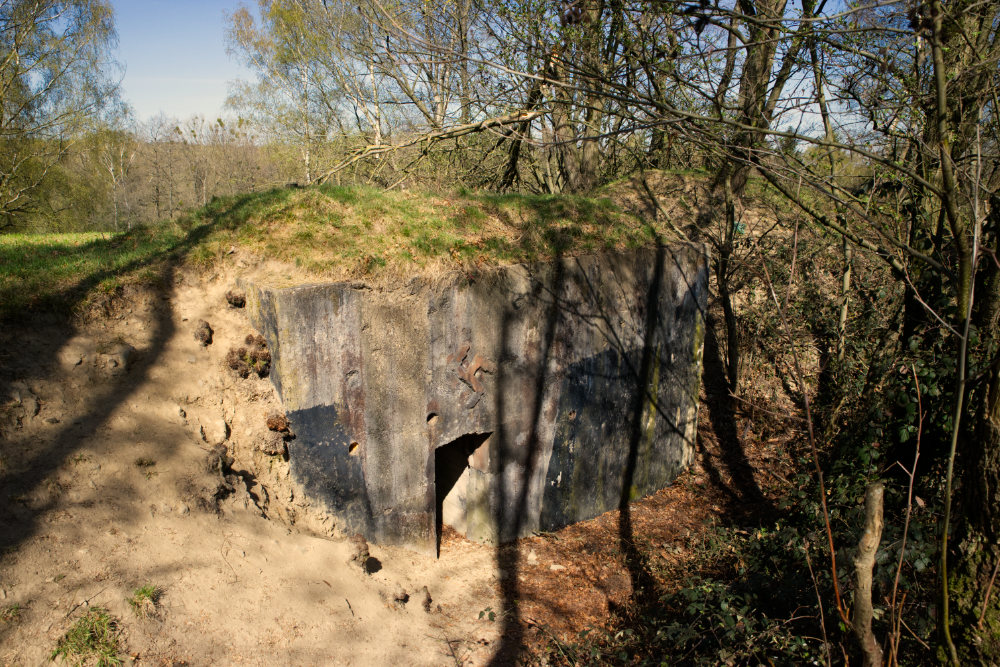 Bunker RAD Lager Kohlbusch #2