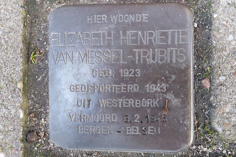 Stolperstein Burgemeester Meineszlaan 19b #1