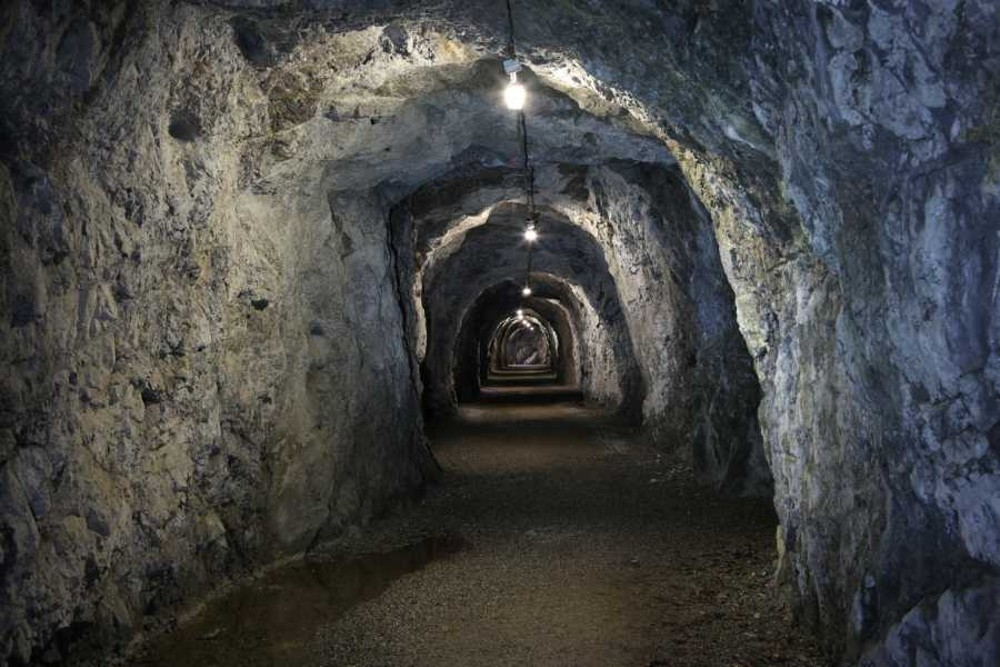 U-Verlagerung Ente (Olympia-Tunnel)