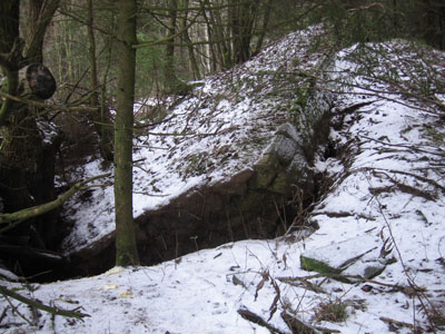 Westwall - Remains Bunker Hallschlag #2