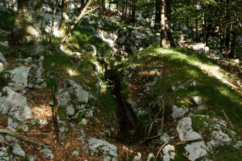 Alpine Wall - Fortified Trench Trstenik #2