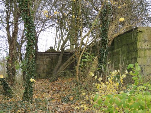 Bunker 7 Stützpunkt Brünhild 'Park Toorenvliedt' #4
