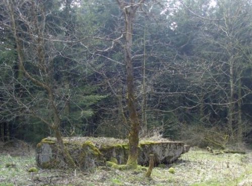 Westwall - Restanten Bunkers Schneifel