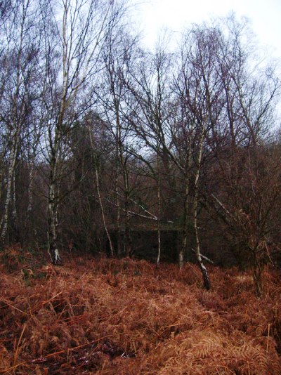 Pillbox FW3/24 Jarvis Brook #2