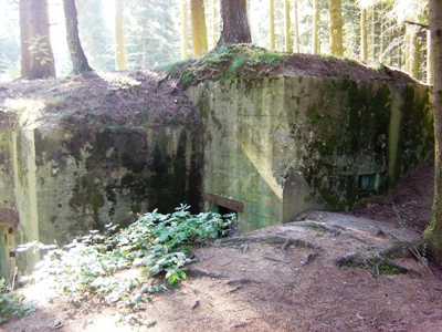 Pillbox No. 132 on Der Buhlert #2