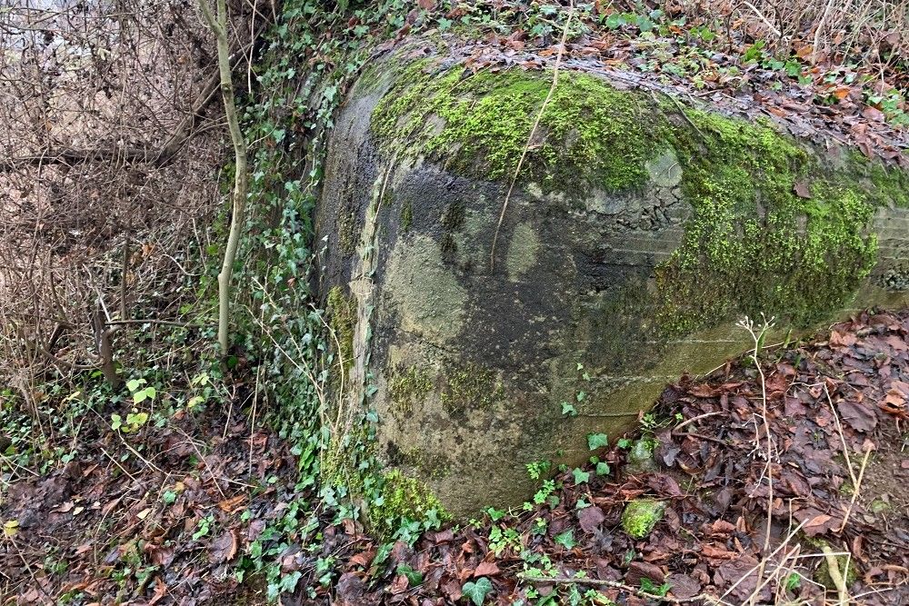 Bunker BV 17 Juslenville #5