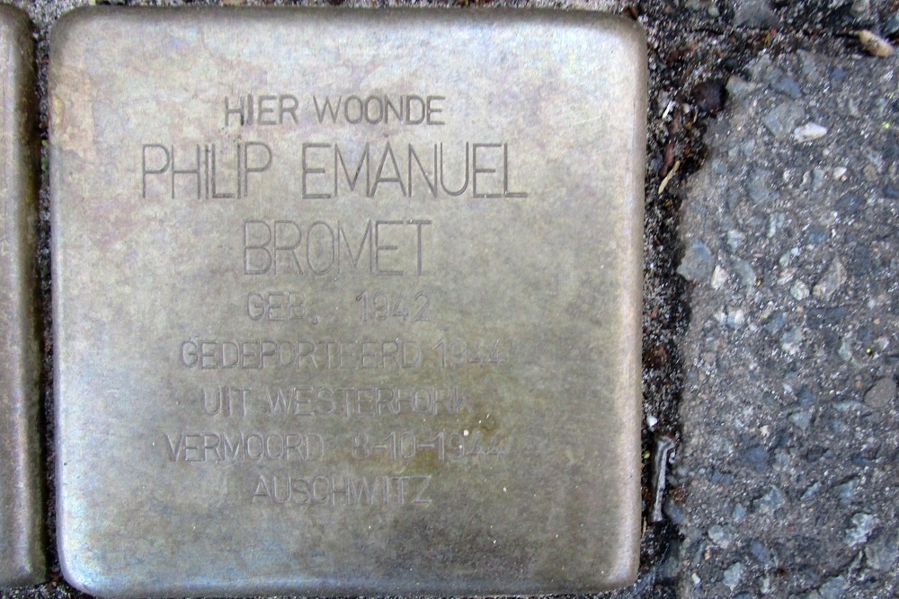 Stolpersteine Wittenburgerweg 120 #5