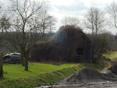 Group Shelter Type P Schans #1