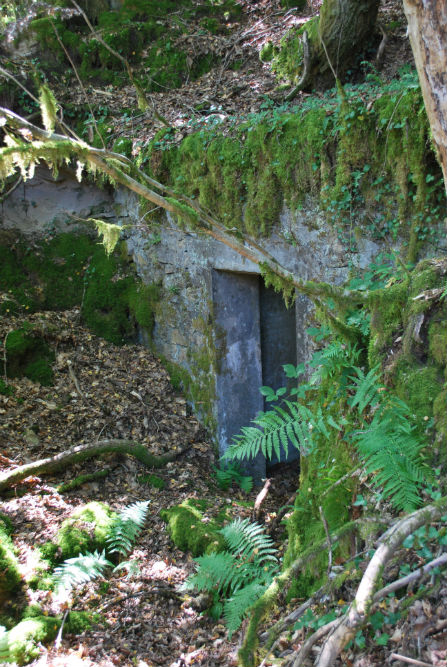 Bunker Complex Peyrat-le-Chteau #4