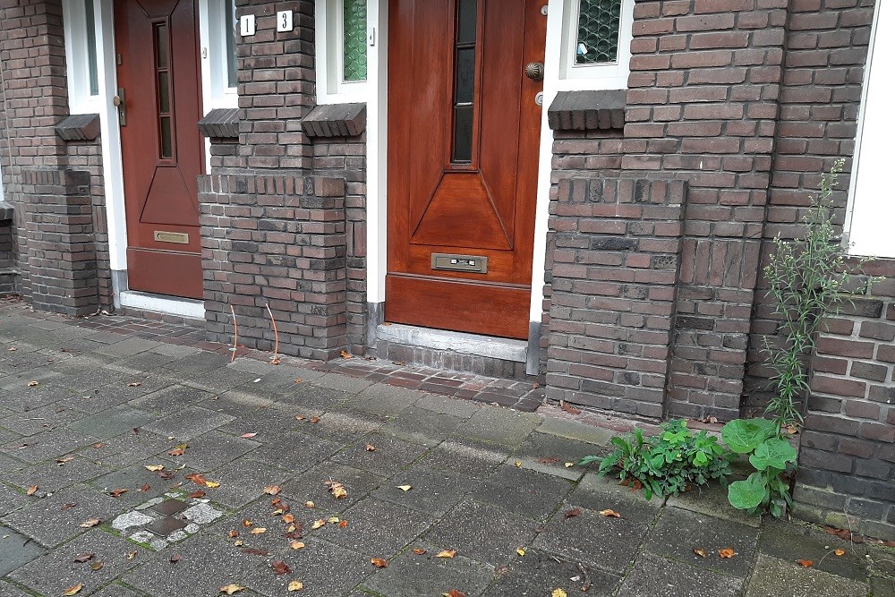 Stolpersteine Van Swietenstraat 3 #2