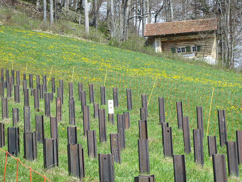 Fortifikation Hauenstein - Swiss Tank Barrier