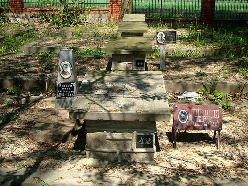 Russian-Austrian War Cemetery Iwaniska #3