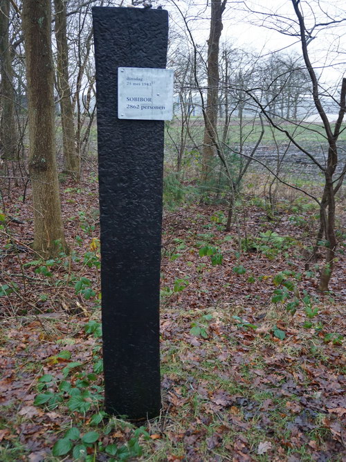The Westerbork path #5