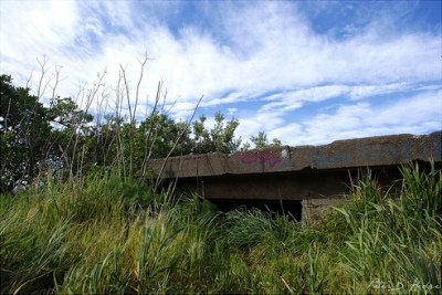 Fort Dorset #3