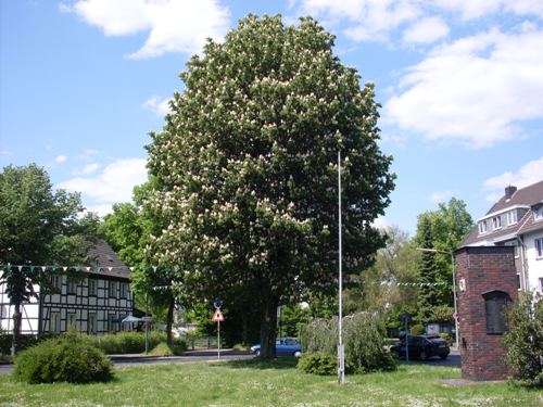 Oorlogsmonument Hassels