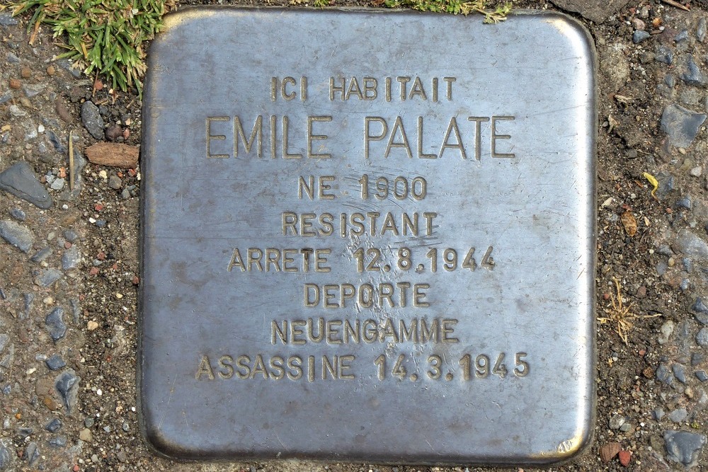 Stumbling Stone Allée du Parc Astrid #1