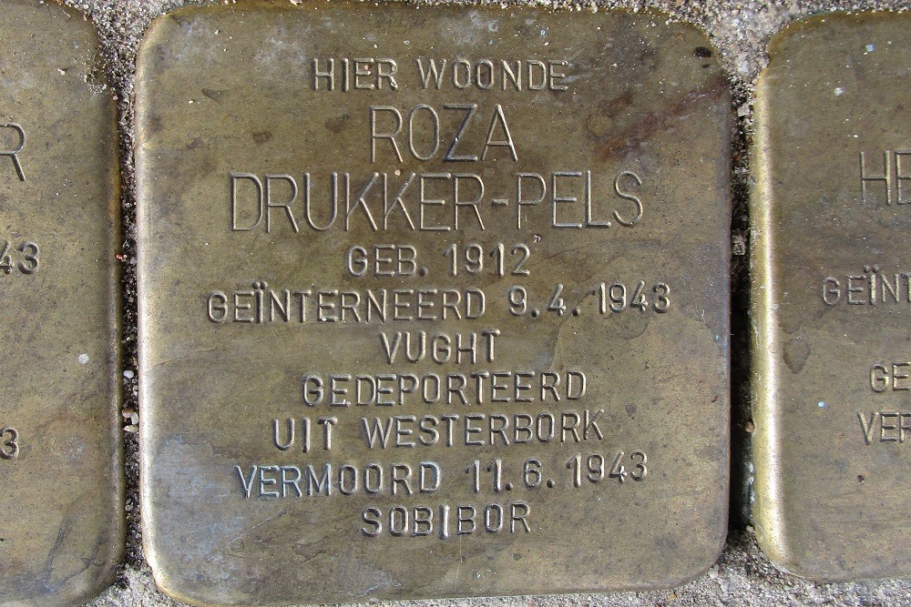 Stolpersteine Trouwlaan 69 #3