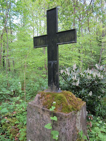 Collective Grave Franco-Prussian War Habsterwiesental #1