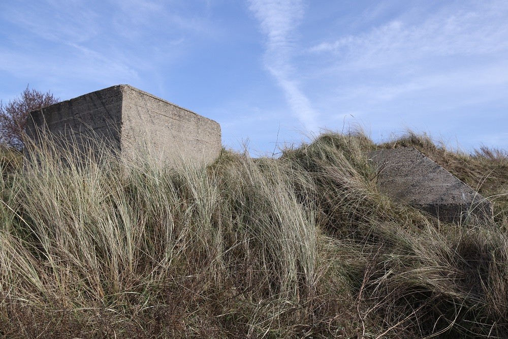 Atlantikwall - Regelbau Fl 249 (M.F.B. Olmen) #5