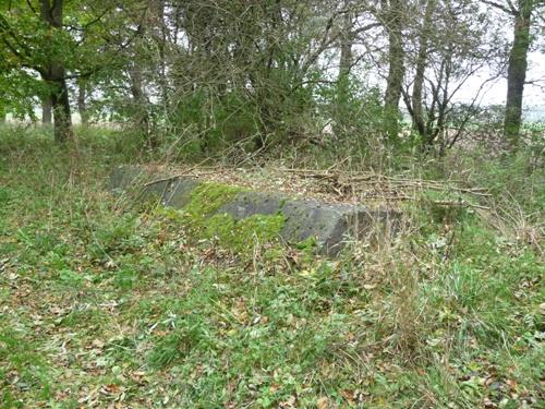 Group Shelter Type 1918/I Fort Vechten #1