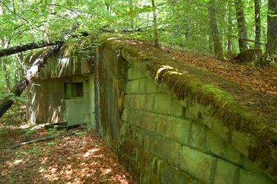 Maginotlinie - Blockhaus Biesenberg (7)