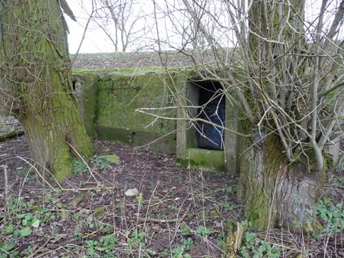 Group Shelter Type 1916/II (B3) Nieuwendijk #2