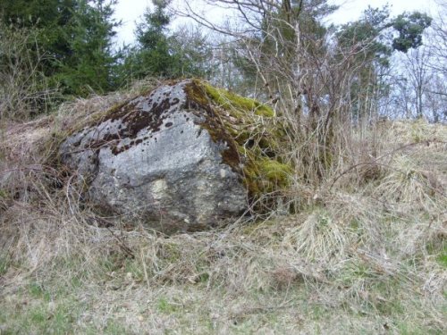 Westwall - Remains Bunker Pittenbach #4