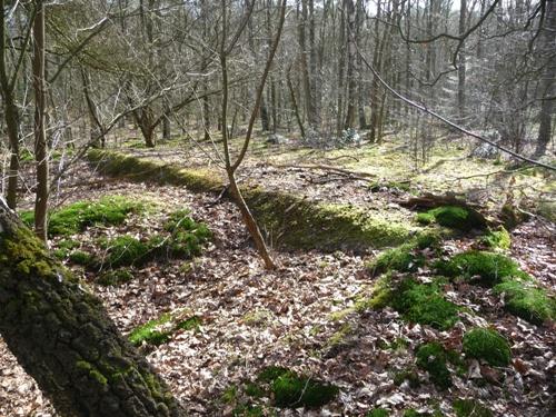 Group Shelter Type 1918/II De Fransche Kamp