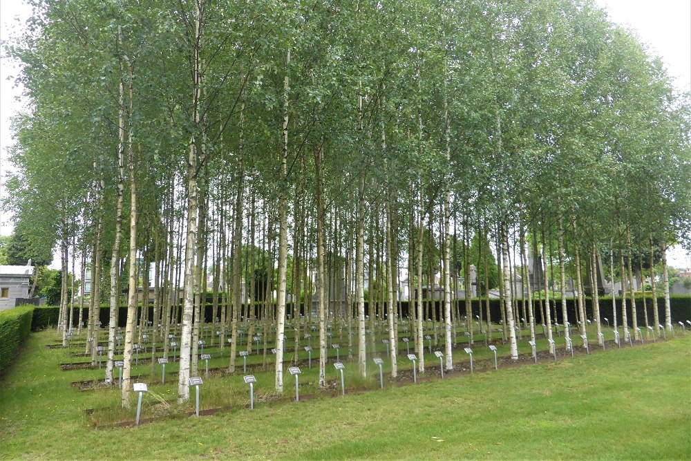 Oorlogsmonument Begraafplaats Berchem #3