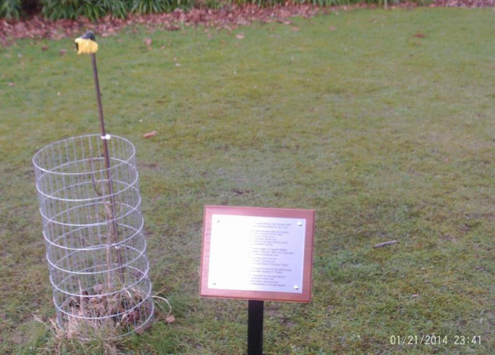 Holocaust Remembrance Tree