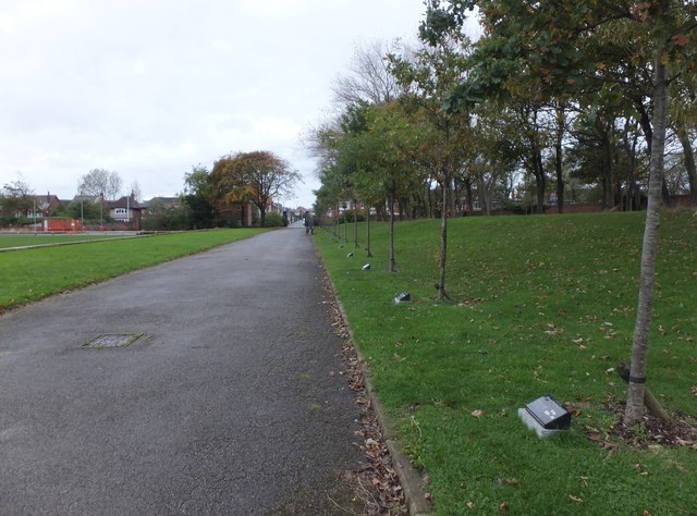 Memorial Trees Blackpool