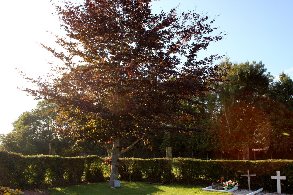 Vrijheidsboom Mont-Saint-Éloi #1