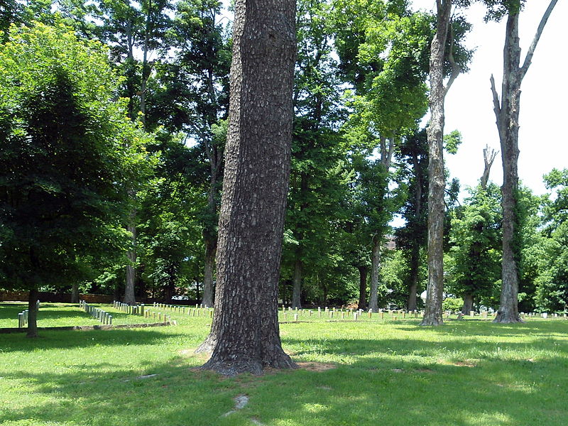 Confederate Cemetery Fayetteville #2