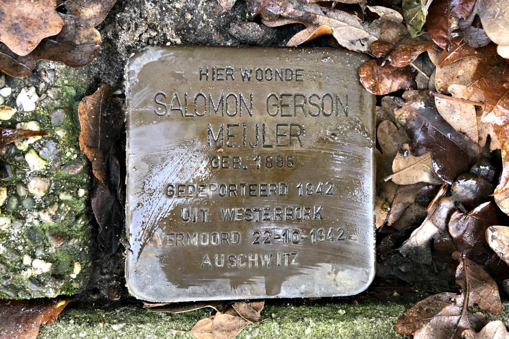 Stolpersteine Parkweg 35 #1