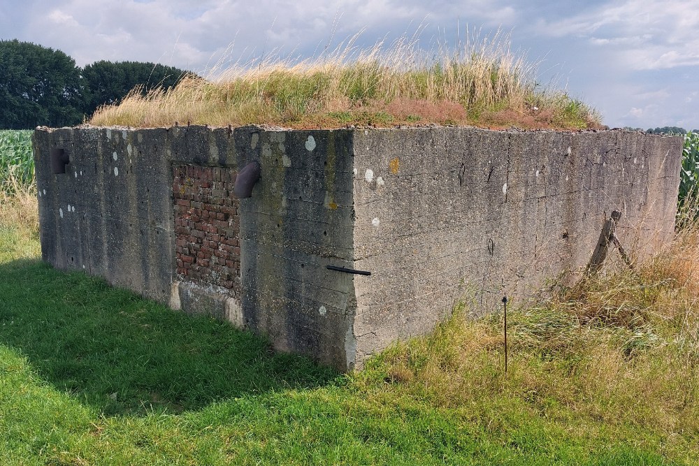 Unfinished Group Shelter Vechten #3