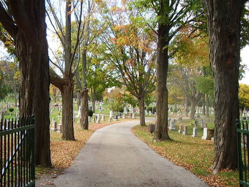 Commonwealth War Graves Mount Hope Cemetery #1