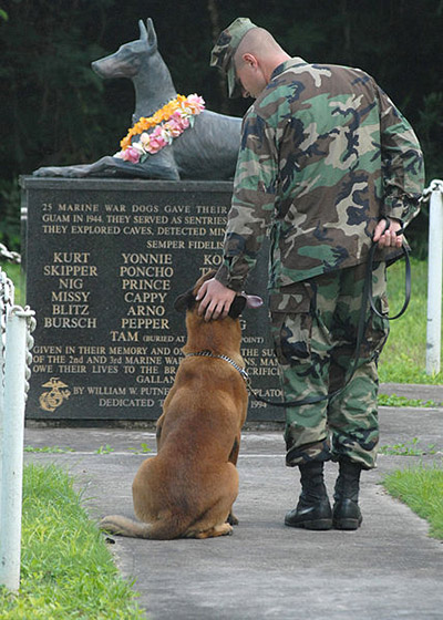 National War Dog Cemetery #1