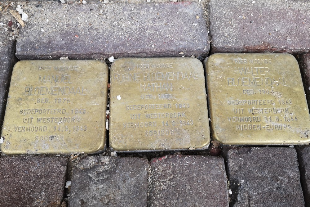 Stolpersteine Hamstraat 20a #1