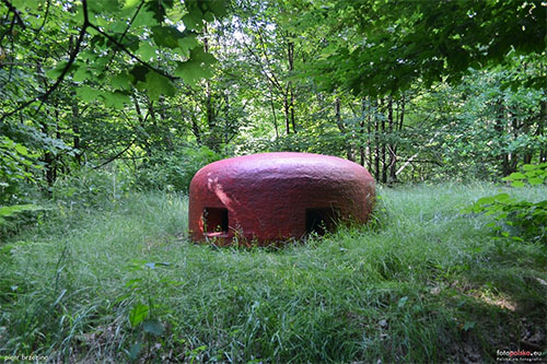 Fortified Region of Silesia - Heavy Casemate No. 70 #2